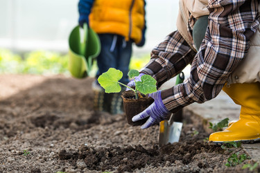 Similar image 22151181