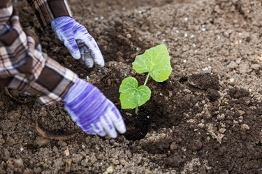 Similar image 22151183