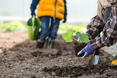 Similar image 22151185