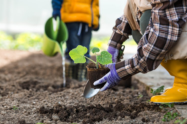 Similar image 22151187