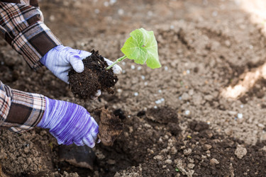 Similar image 22151189