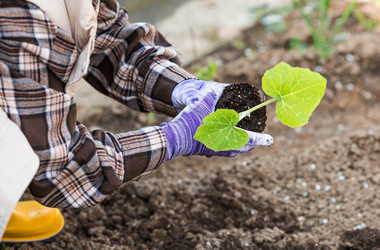 Similar image 22151191