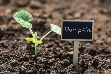 Similar image 22151197