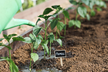 Similar image 22151198