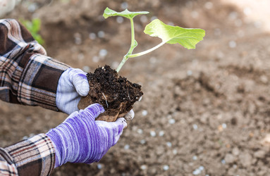 Similar image 22151199