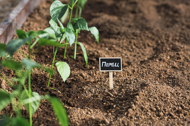 Similar image 22151200