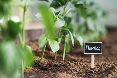 Similar image 22151202