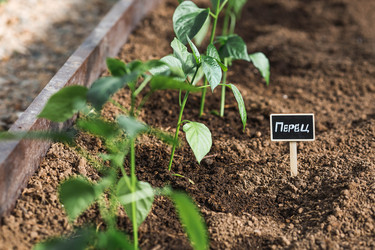 Similar image 22151204