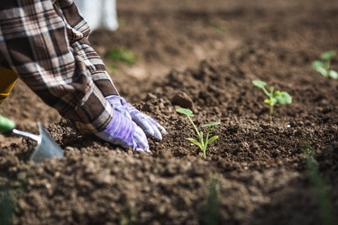 Similar image 22151205