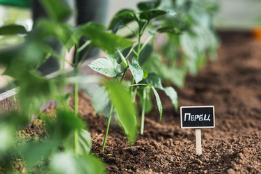 Similar image 22151206