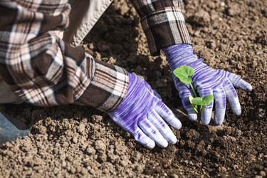 Similar image 22151207