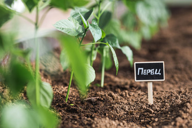 Similar image 22151208