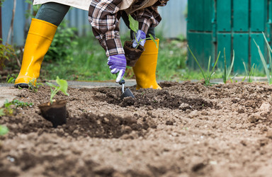 Similar image 22151209