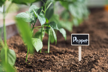 Similar image 22151210