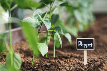 Similar image 22151212