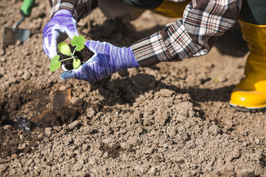 Similar image 22151215