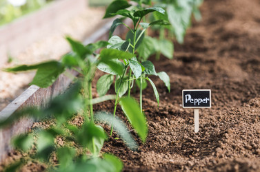 Similar image 22151216