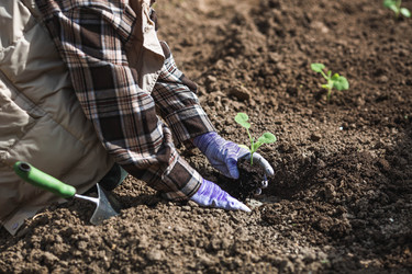 Similar image 22151217