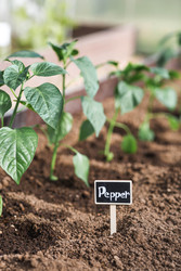 Similar image 22151218