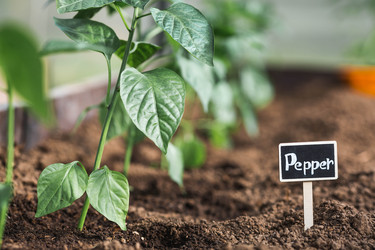 Similar image 22151219