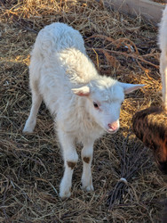 Similar image 22147807