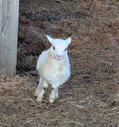 Similar image 22147808