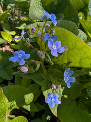 Similar image 22147809