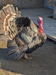 Similar image 22147810