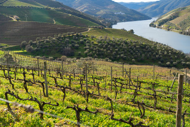 Similar image 22165021