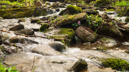 Similar image 22148659