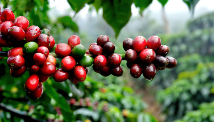 Similar image 22150837