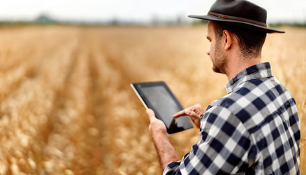 Similar image 22150848