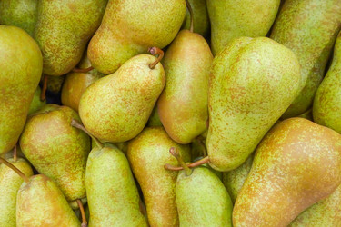 Similar image 22154624