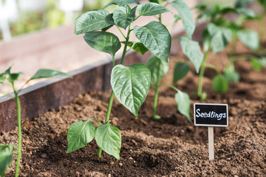 Similar image 22151222