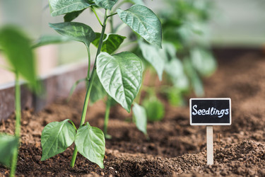 Similar image 22151223