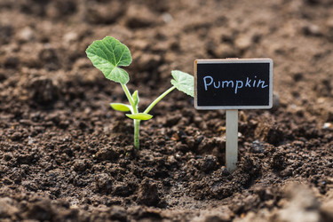 Similar image 22151224