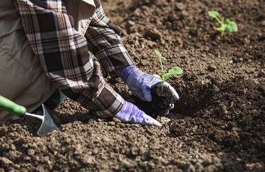 Similar image 22151225