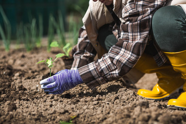 Similar image 22151229