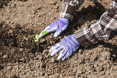 Similar image 22151230