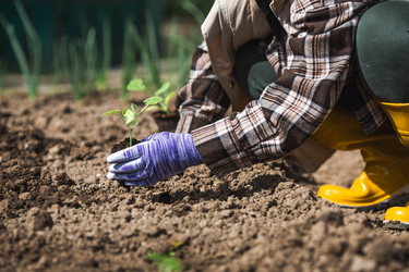 Similar image 22151231