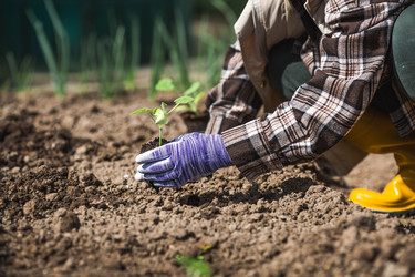 Similar image 22151232