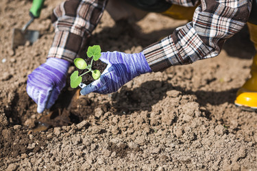 Similar image 22151233