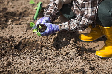 Similar image 22151234