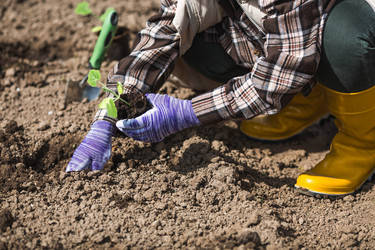 Similar image 22151236