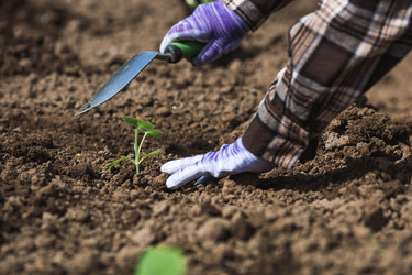 Similar image 22151237