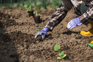 Similar image 22151238