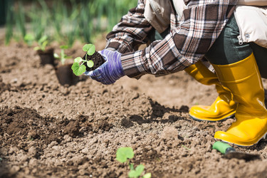 Similar image 22151239