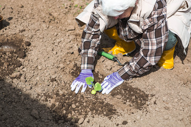 Similar image 22151241