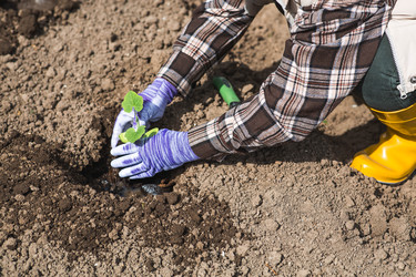 Similar image 22151242