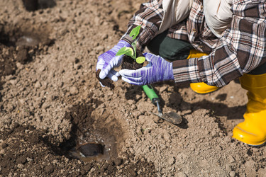 Similar image 22151243